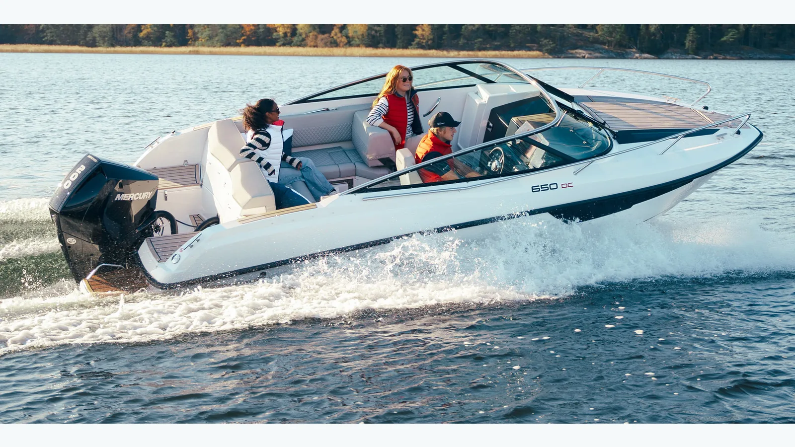Flipper 650 DC