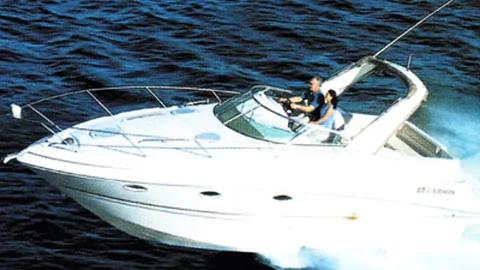 Cabrio 310