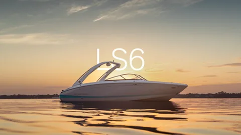 LS6