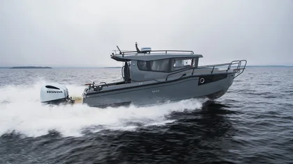 Orca 21