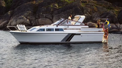 Royal Cruiser 31
