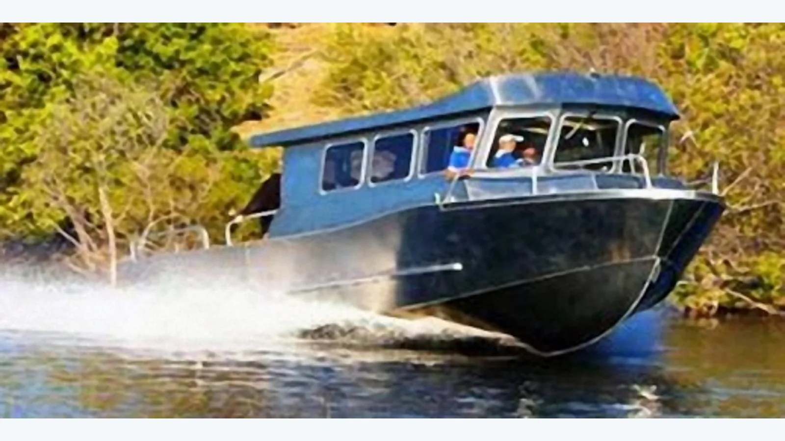Tailwind 1059