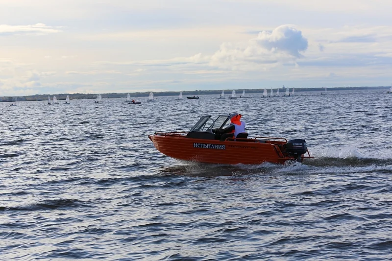 Trident 450 Fish