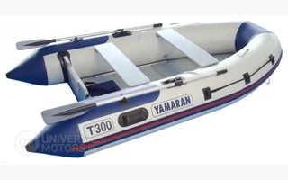 T300