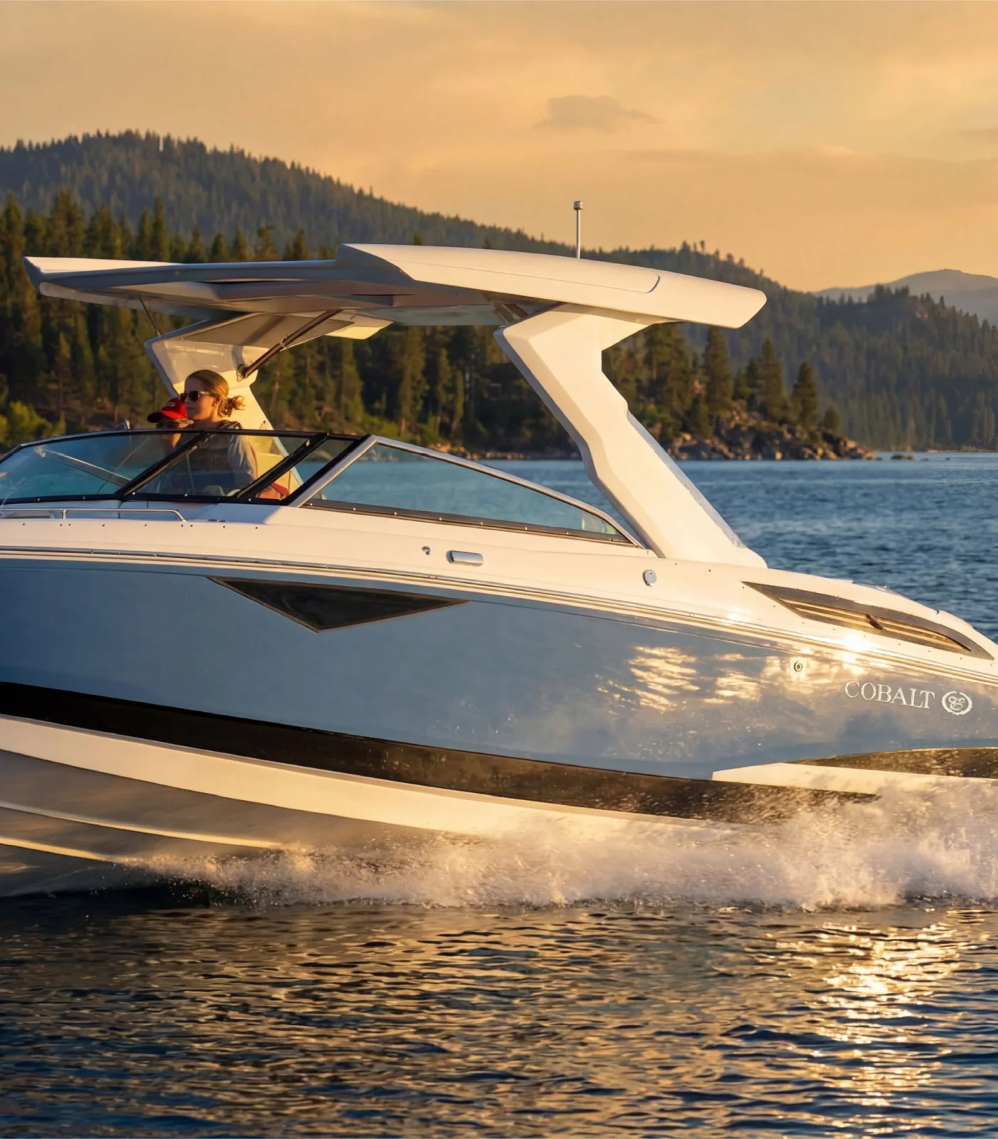 Cobalt Boats A29